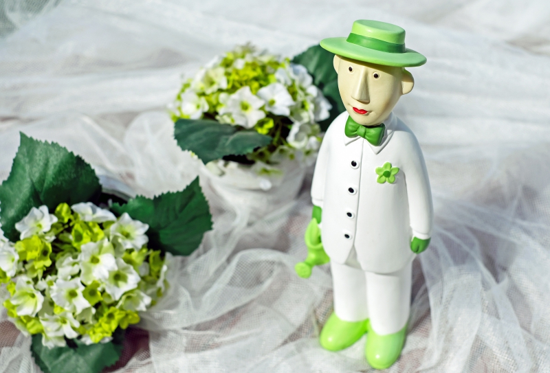 boutique-ST SAUVEUR SUR TINEE-min_man-person-flower-green-toy-fig-546529-pxhere.com